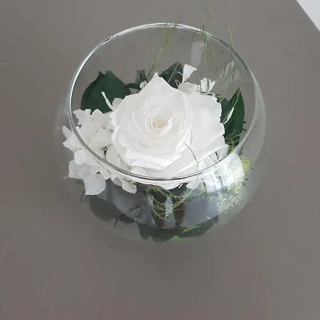 La Casetta Appartamento